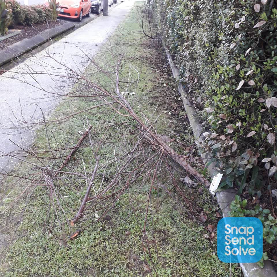 The photograph attached to this rubbish/recycling report