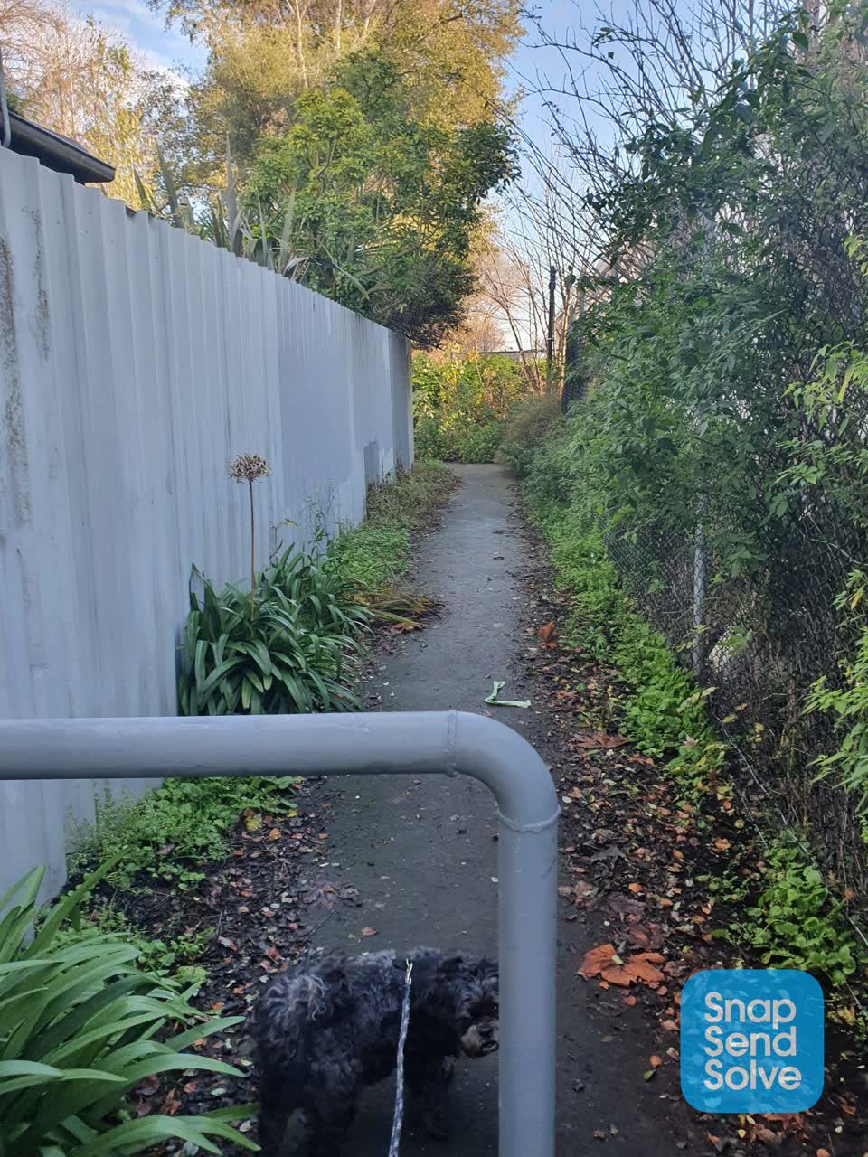 The photograph attached to this parks report