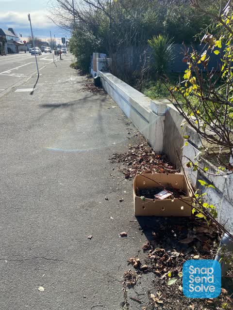 Rubbish/Recycling, a report photo