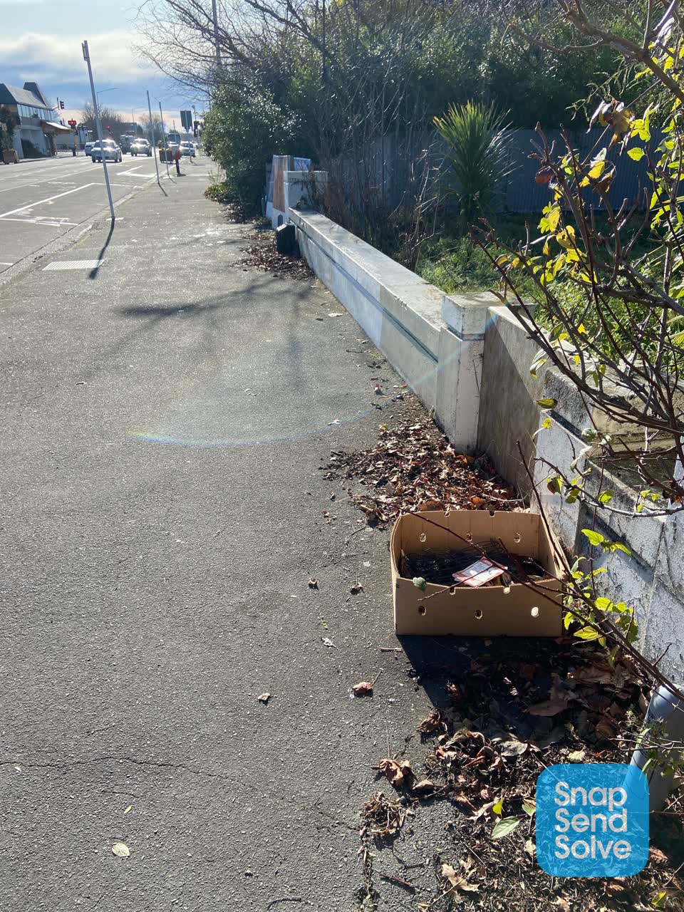 The photograph attached to this rubbish/recycling report