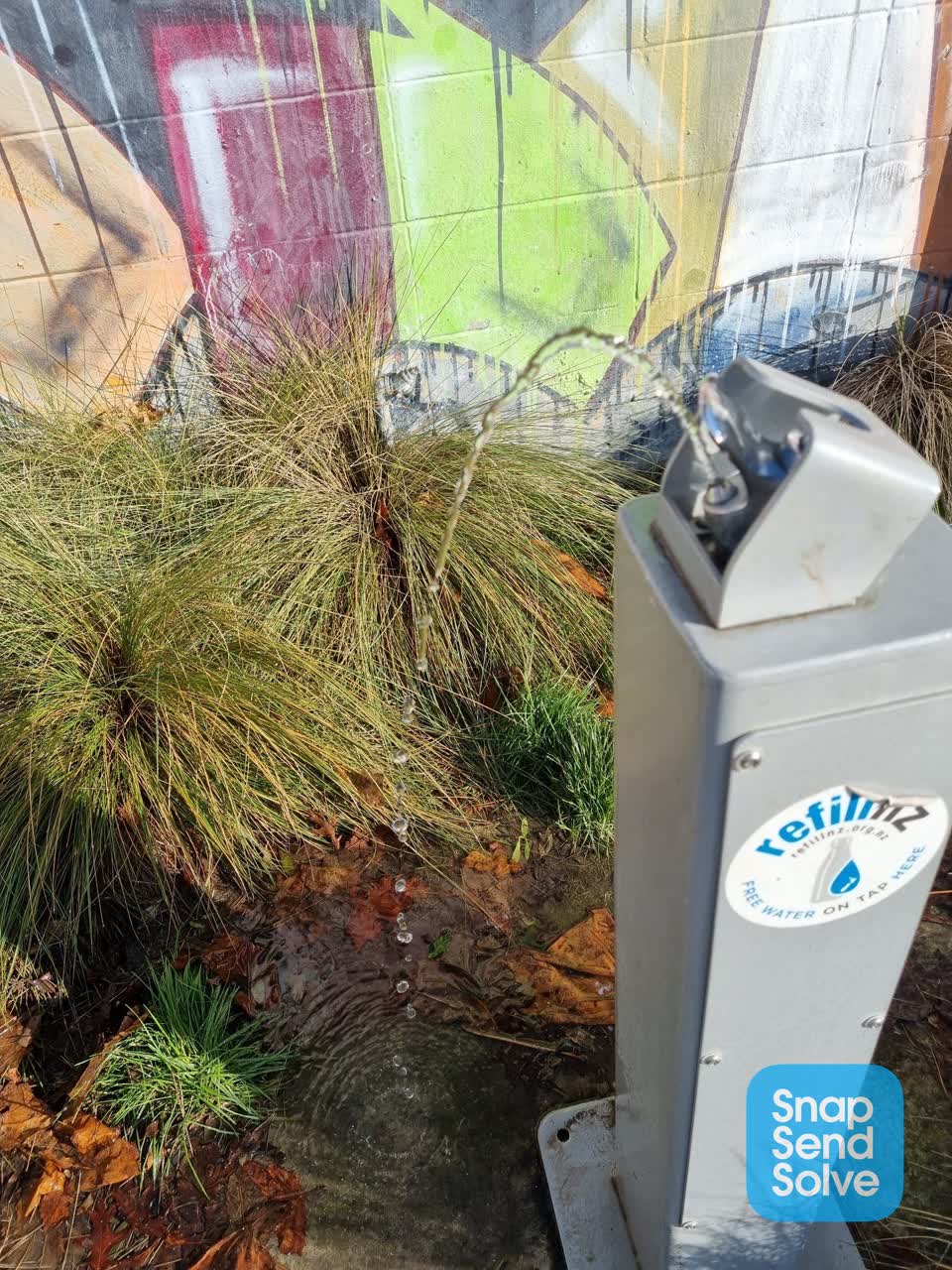 The photograph attached to this parks report