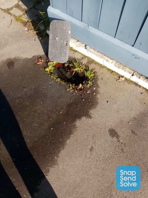 Water Leak, a report photo