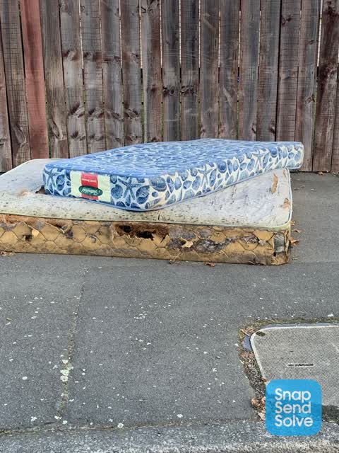 Rubbish/Recycling, a report photo