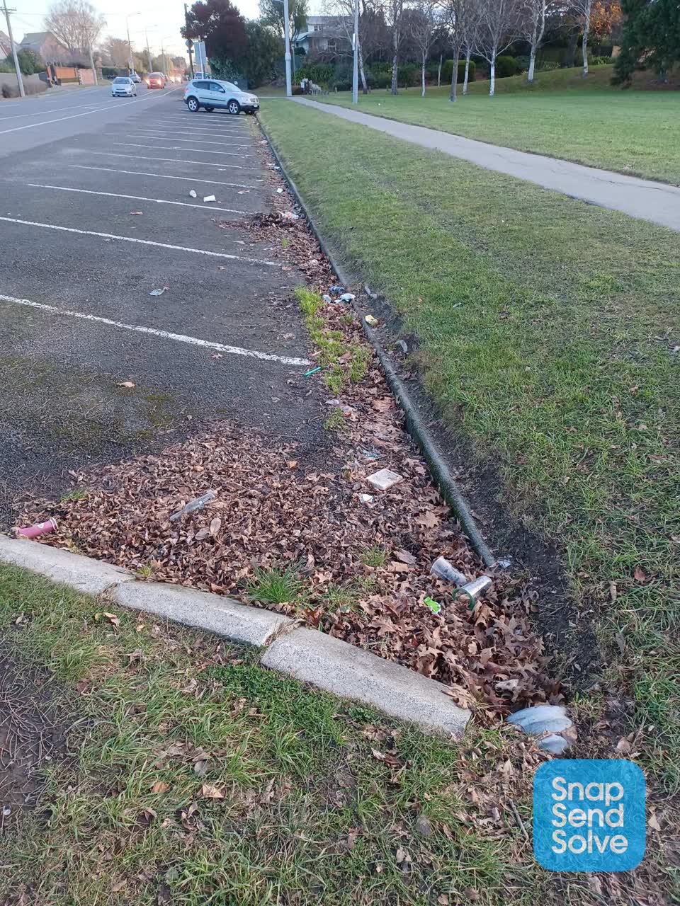 The photograph attached to this parks report