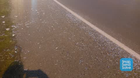 Roading/Streets, a report photo