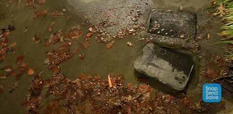 Water Leak, a report photo