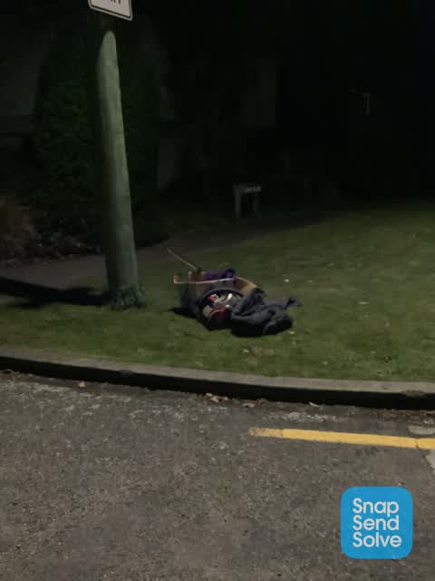 Rubbish/Recycling, a report photo