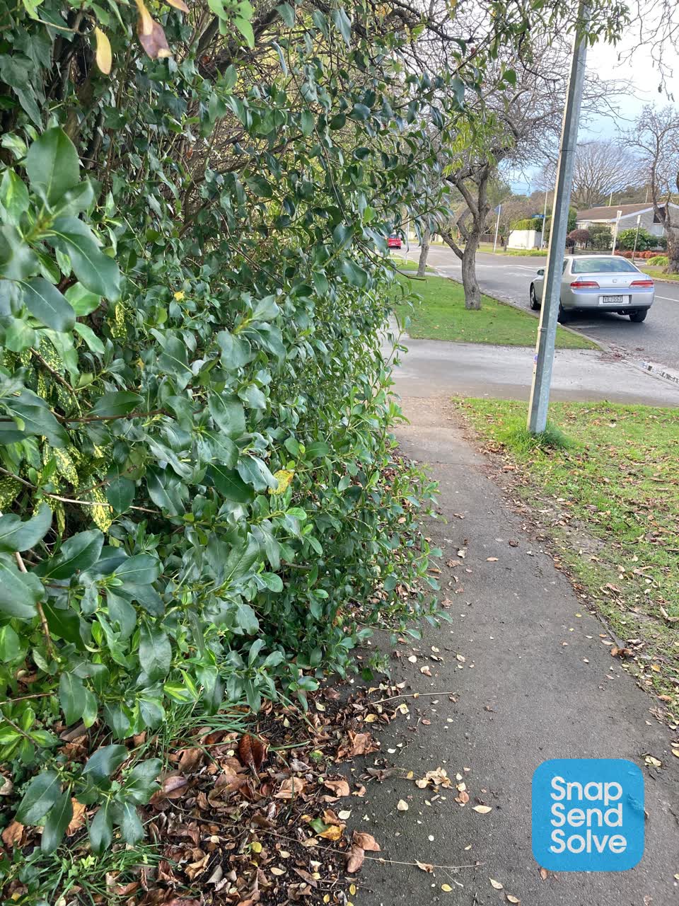 The photograph attached to this roading/streets report