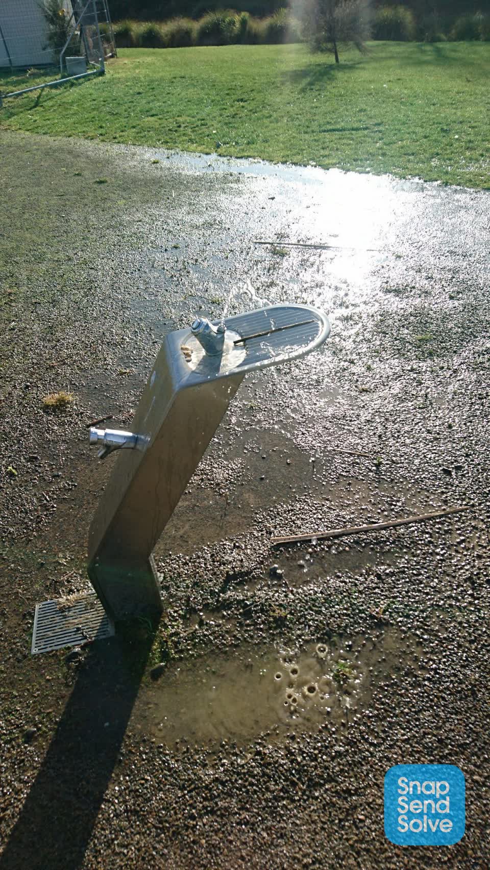 The photograph attached to this parks report