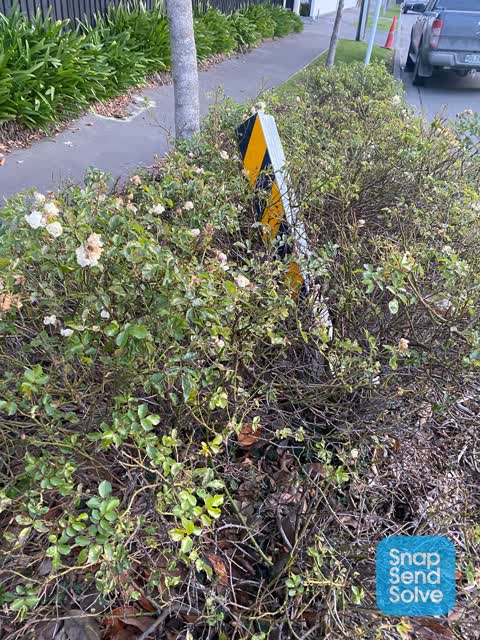 Roading/Streets, a report photo