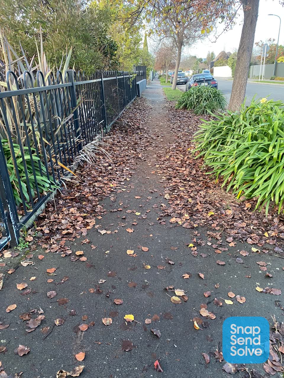 The photograph attached to this roading/streets report