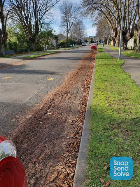 Roading/Streets, a report photo