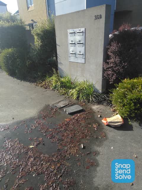 Water Leak, a report photo