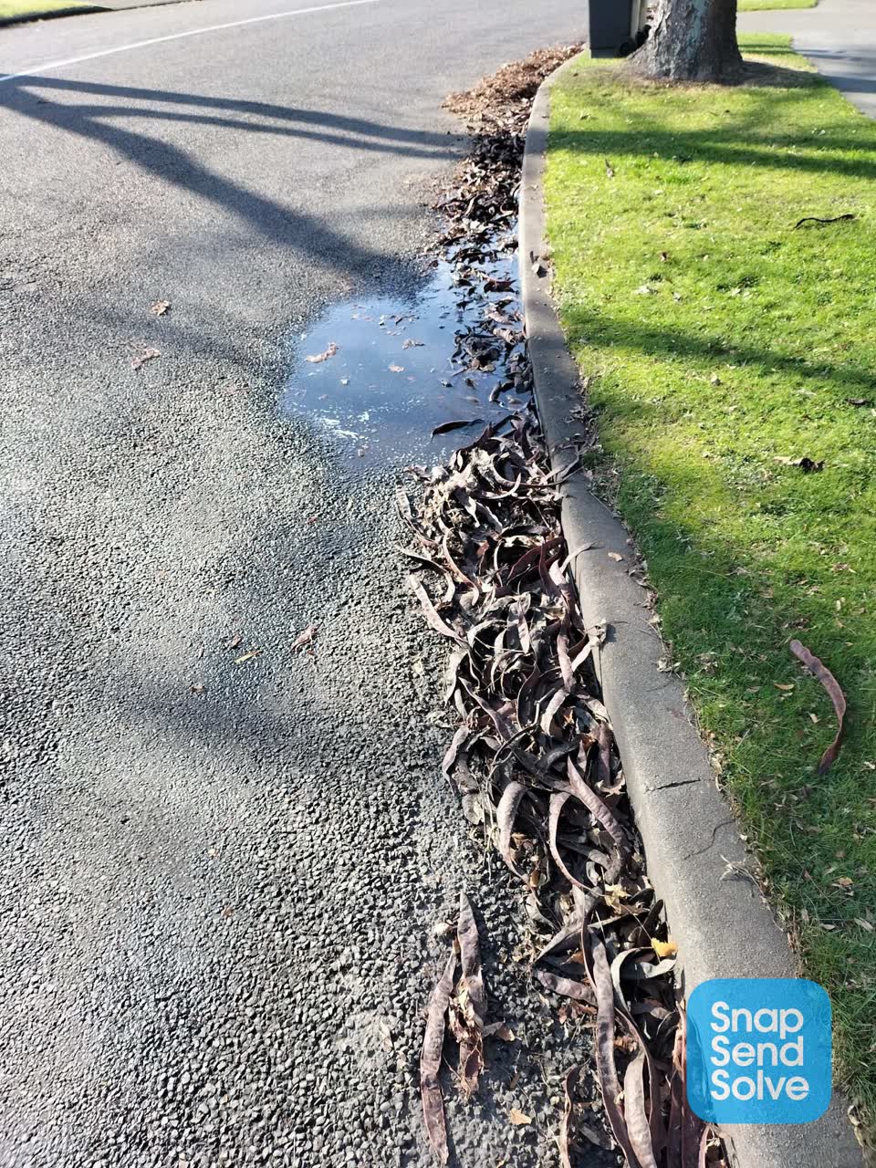 The photograph attached to this roading/streets report