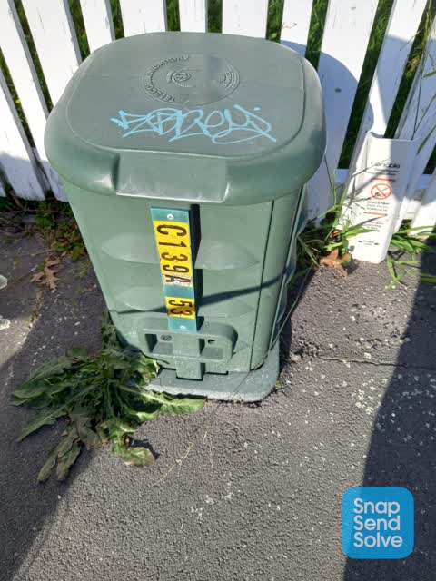 Graffiti, a report photo