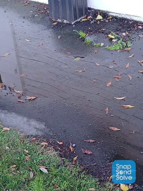 Water Leak, a report photo