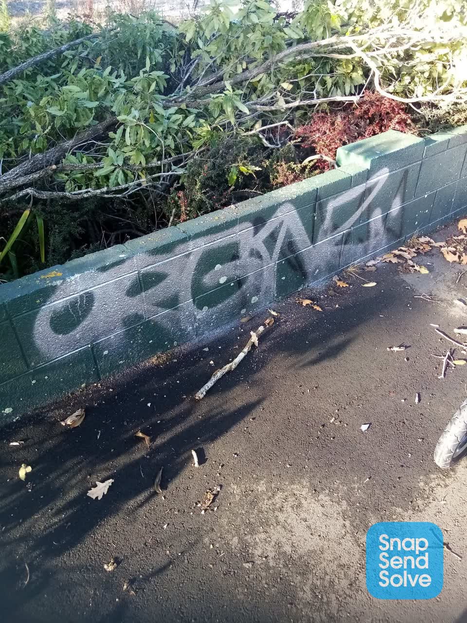 The photograph attached to this graffiti report