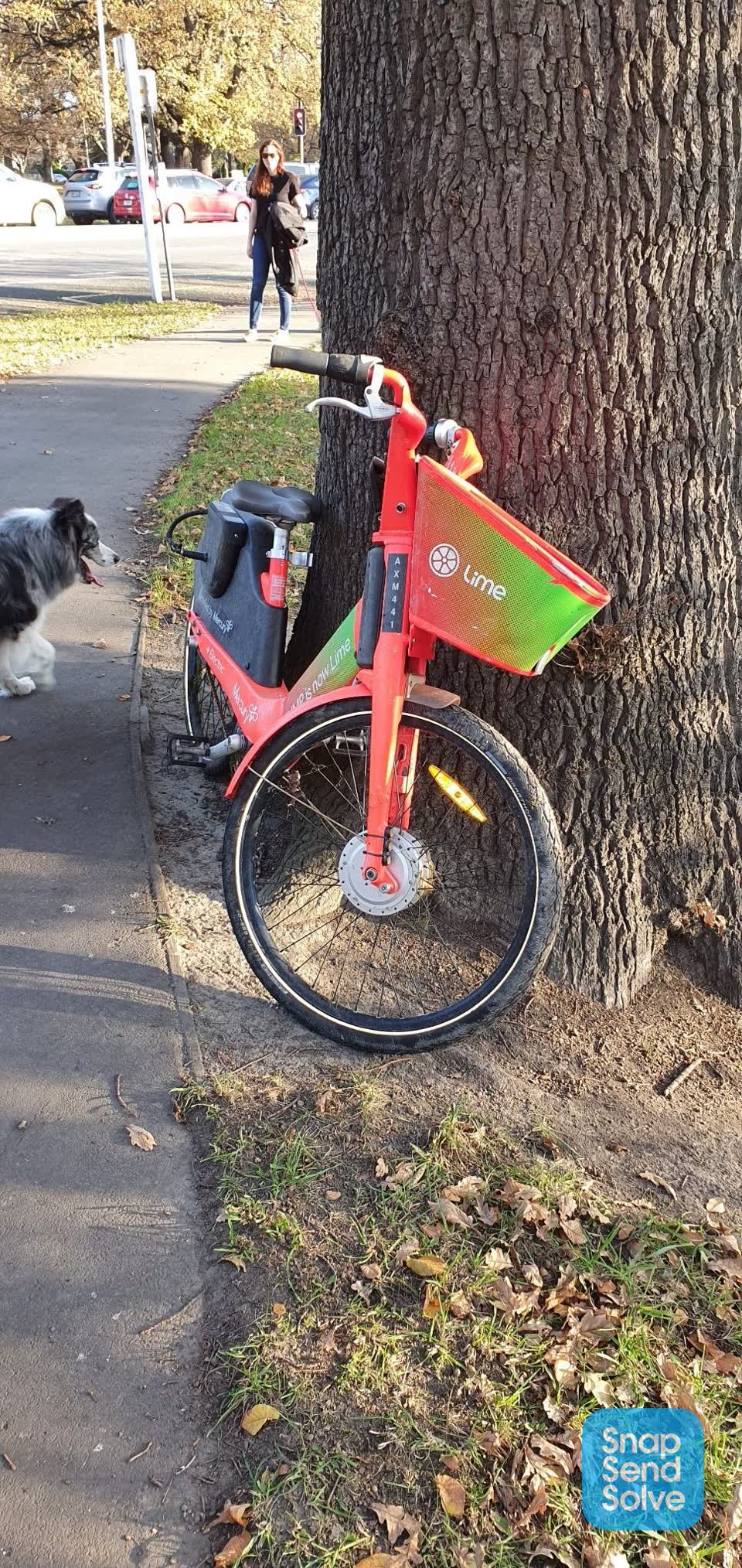 The photograph attached to this roading/streets report