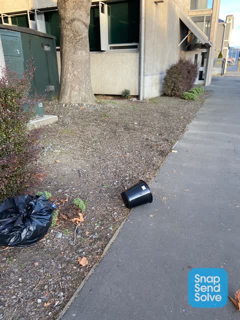 Rubbish/Recycling — a report photo
