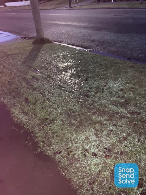 Water Leak, a report photo