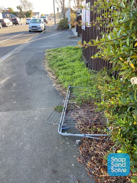 Rubbish/Recycling, a report photo