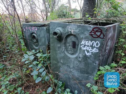 Graffiti, a report photo