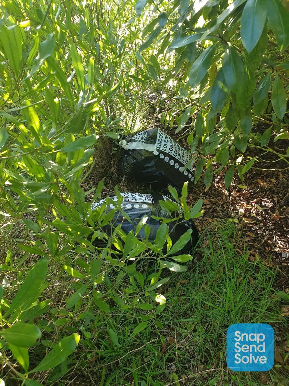 The photograph attached to this rubbish/recycling report