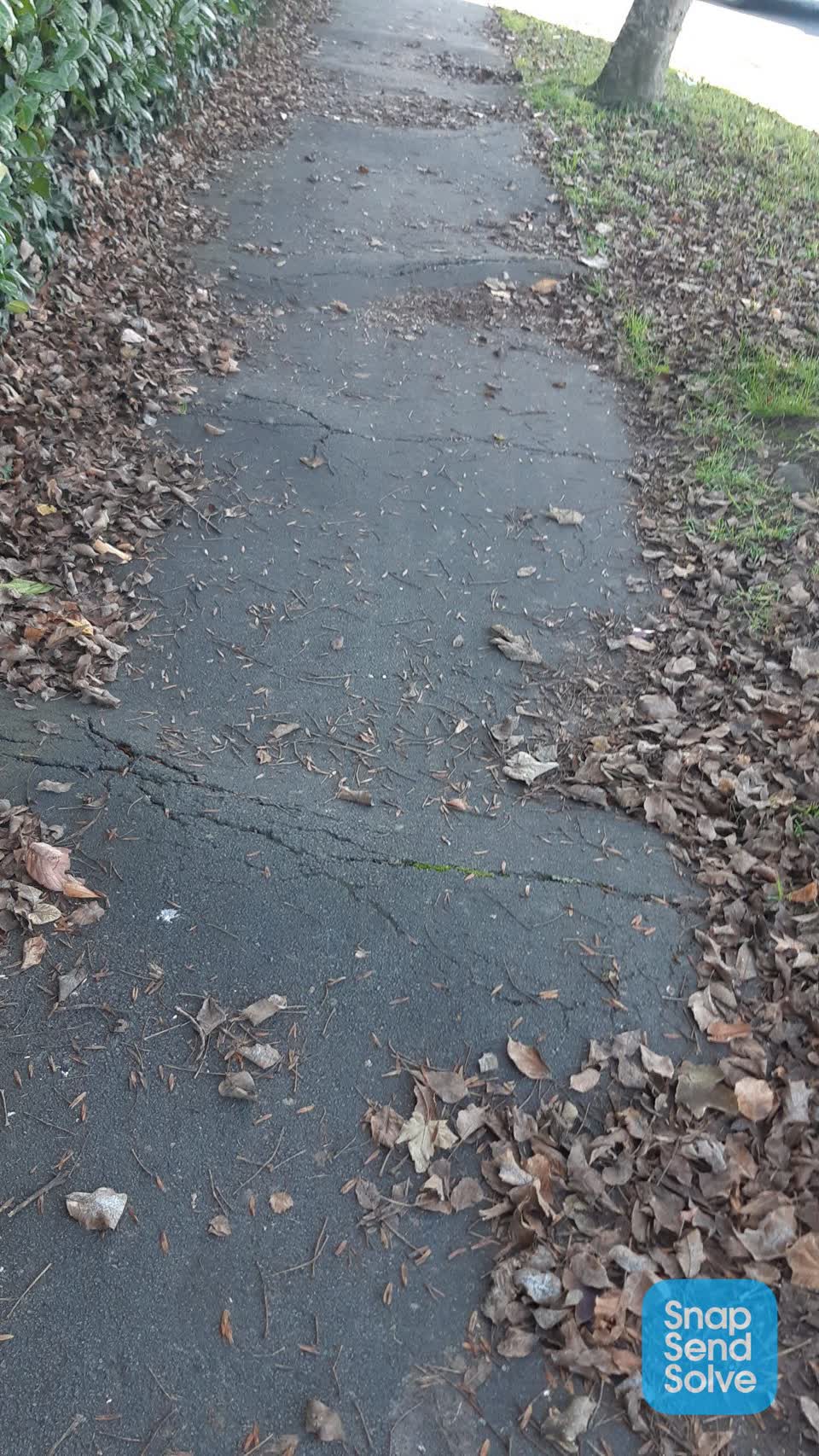 The photograph attached to this roading/streets report