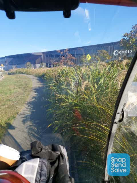 Roading/Streets, a report photo