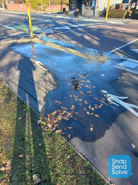 Water Leak, a report photo