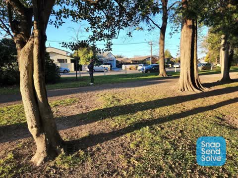Parks — a report photo