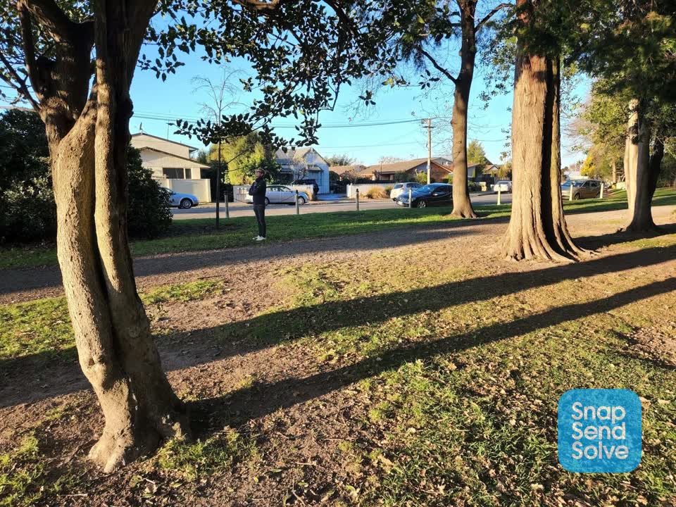 The photograph attached to this parks report