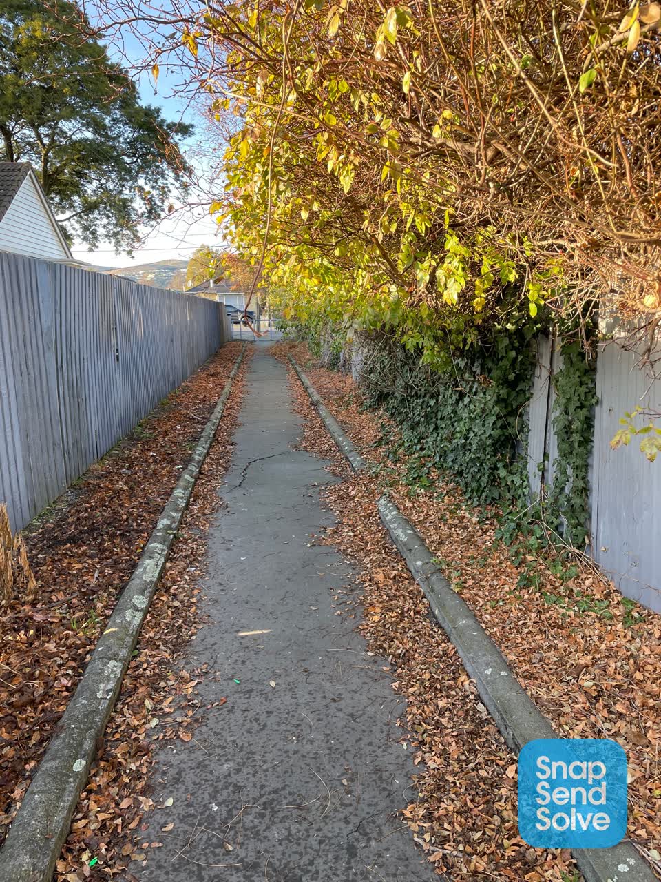 The photograph attached to this roading/streets report