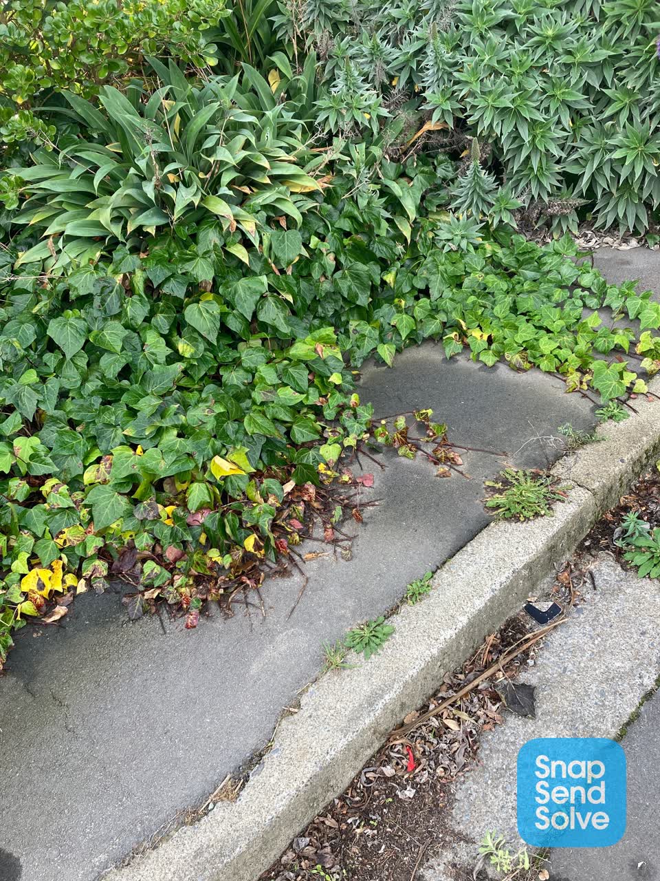 The photograph attached to this parks report
