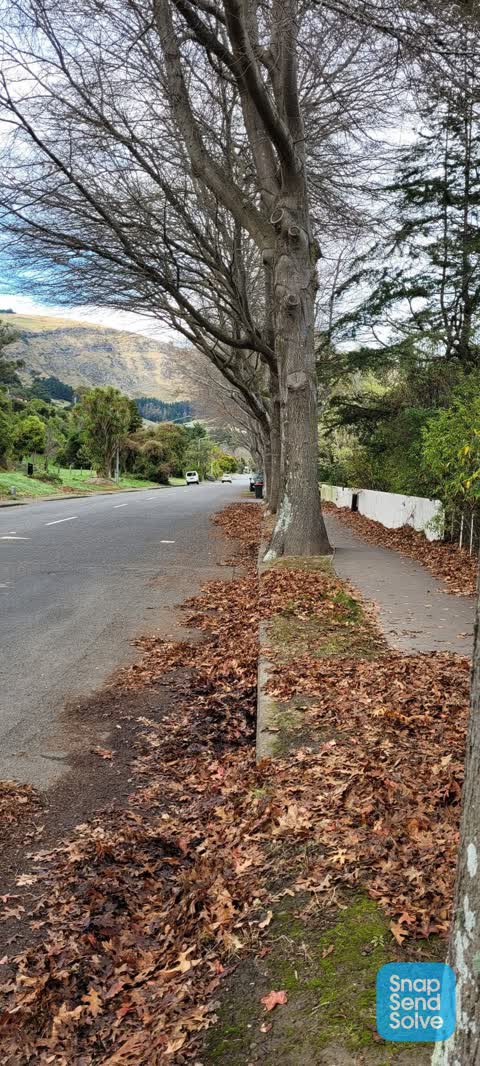 Roading/Streets, a report photo