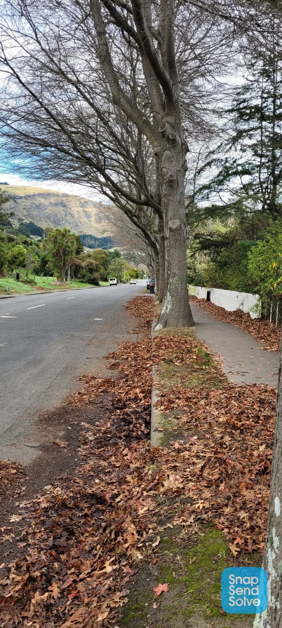 The photograph attached to this roading/streets report