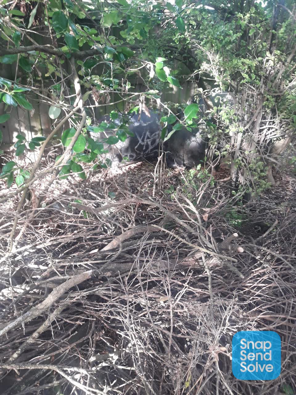 The photograph attached to this parks report