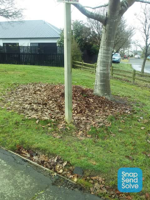 Parks, a report photo