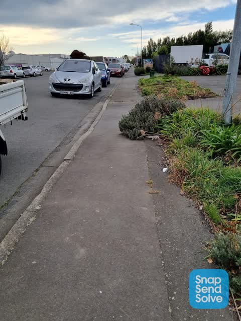 Roading/Streets, a report photo