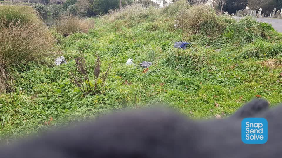 The photograph attached to this rubbish/recycling report