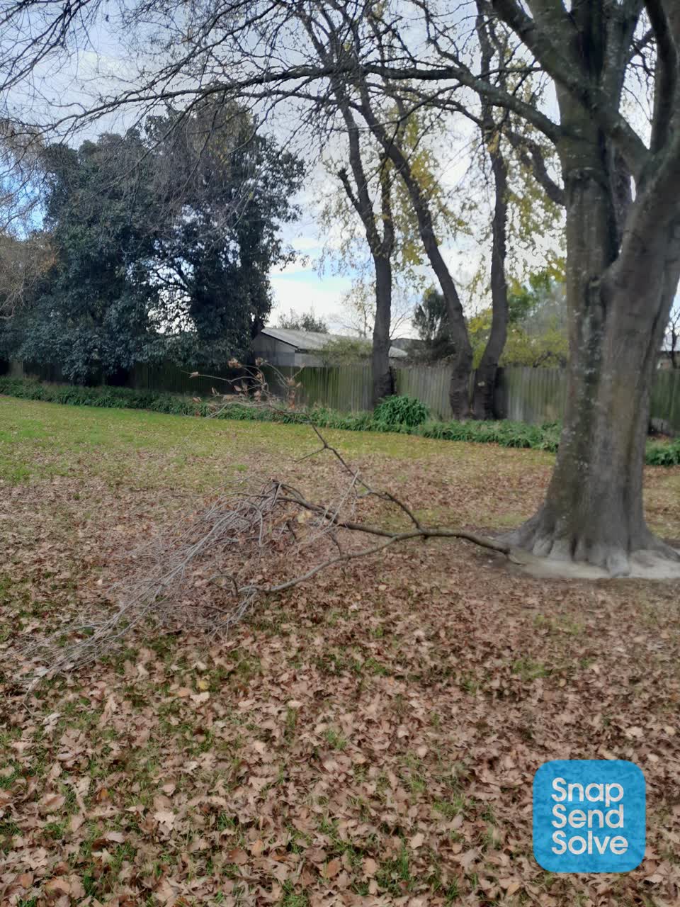 The photograph attached to this parks report