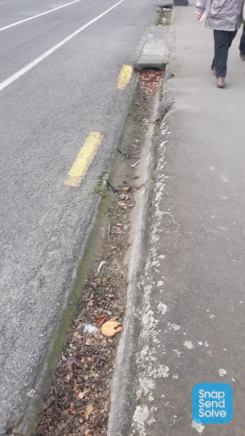 Roading/Streets, a report photo
