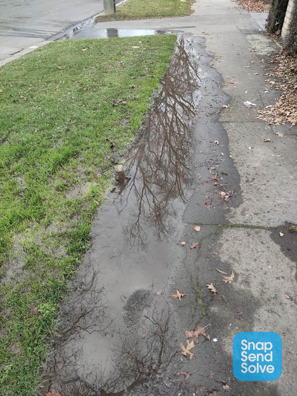 The photograph attached to this roading/streets report