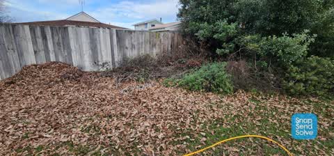 Parks, a report photo