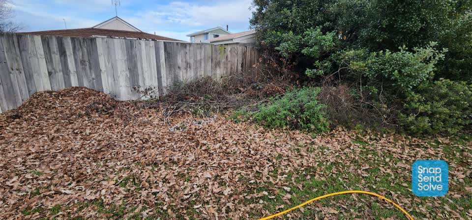 The photograph attached to this parks report