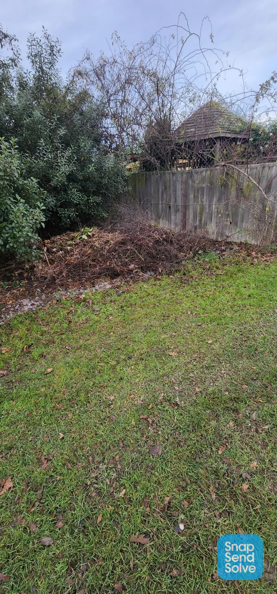 The photograph attached to this parks report