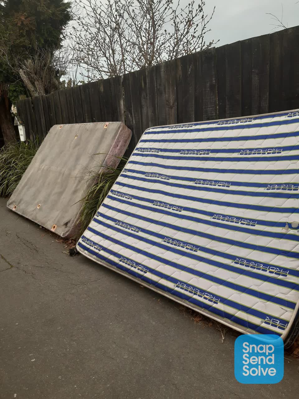 The photograph attached to this rubbish/recycling report