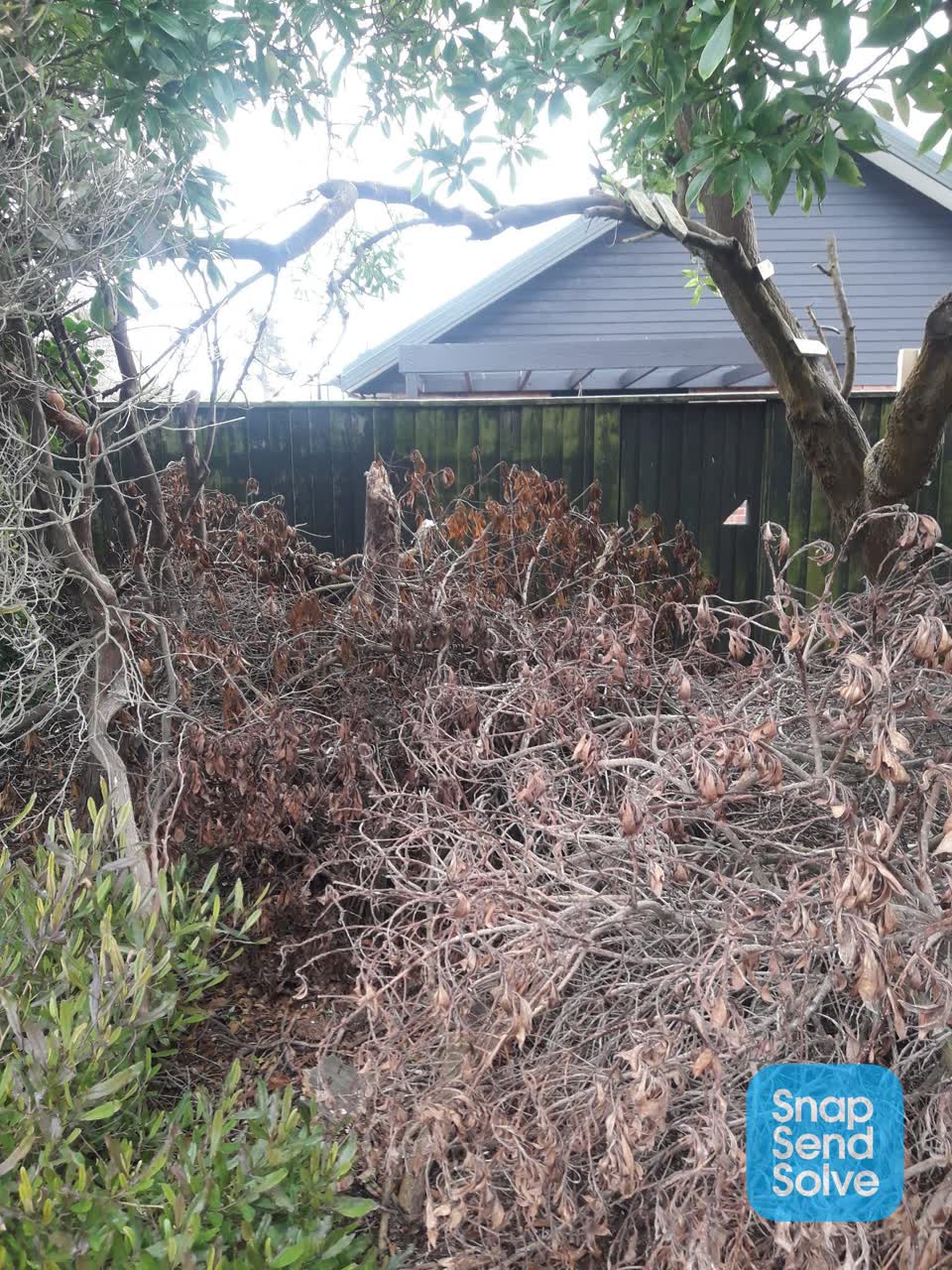The photograph attached to this parks report