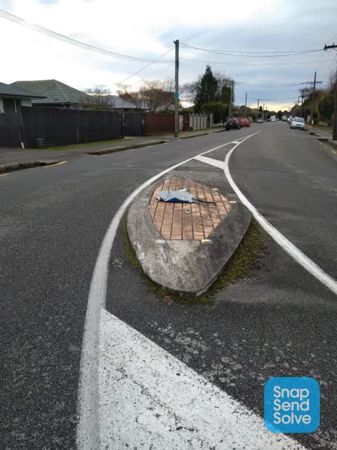 Roading/Streets, a report photo