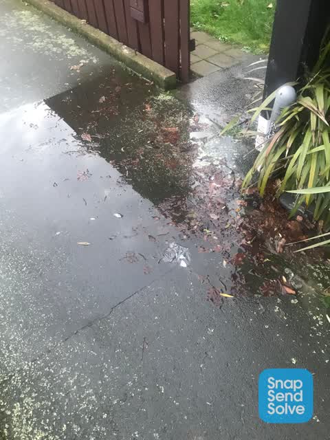 Water Leak, a report photo